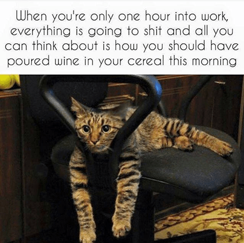 61822453_2754781024537389_8453601055735808000_n