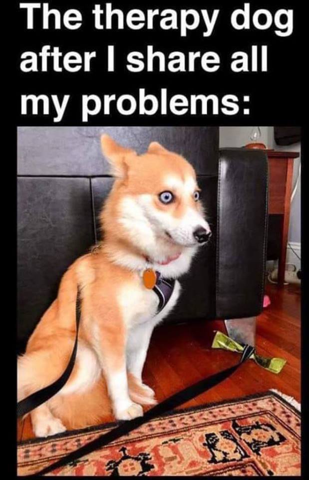 62318544_2108334625961608_7241507498929160192_n