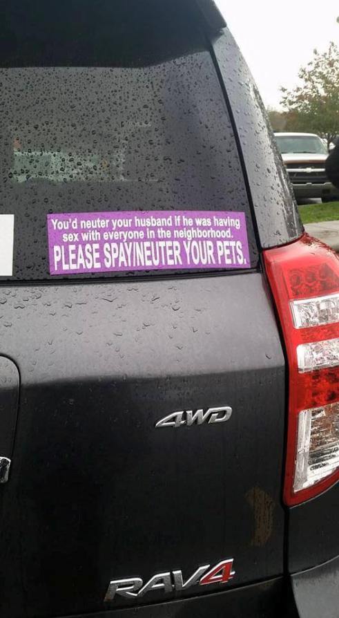 64395297_10216589123699619_7657108652116934656_n