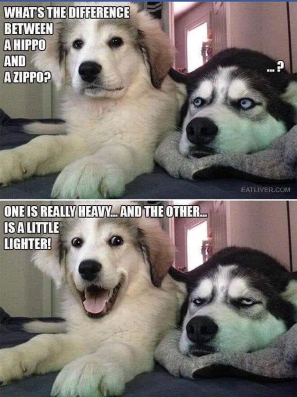 65195718_845045145878620_3747062428332982272_n