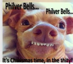 2c0301528ae0ffb59c7f47eaa5e42090--so-funny-funny-pics