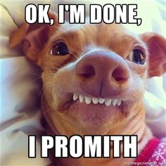 5d588a101accf69f06560c875222a634--so-funny-funny-pics