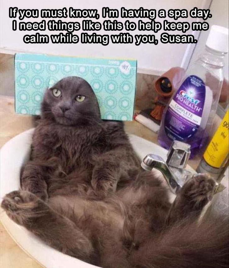 85e87d0dbe8aaba5a4d4133570729546