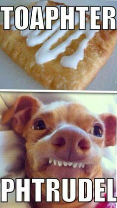 ab0fe7655d1d393da211e2e76313b2cf--poor-dog-cute-funny-animals