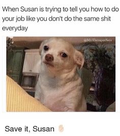 ef3646fc0fecac373cbd6f17744b37c2