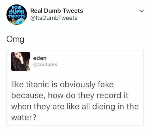 um-real-dumb-tweets-ltsdumbtweets-00s-omg-eden-zoutures-like-28495111