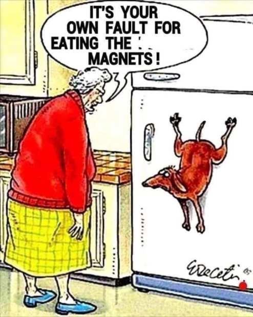 67885707_10157494895744299_3794459385309167616_n