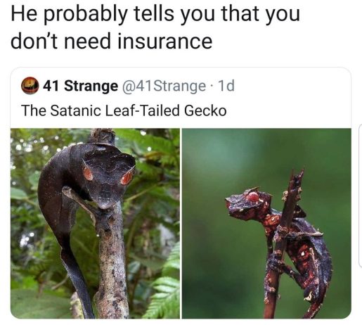 67957715_1344315142388665_2906665855402115072_n