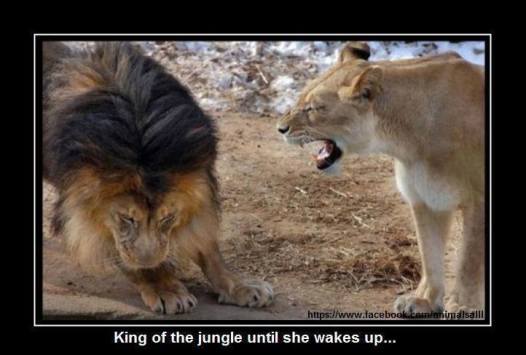 68394904_1154417414742976_5196890031360311296_n