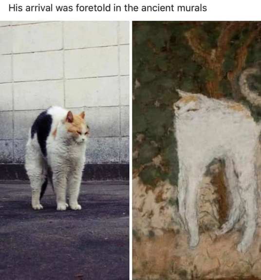 68458727_10157494895314299_7550784258508324864_n