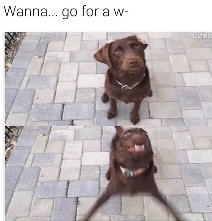 65103424_2303686083058905_9213498422437347328_n