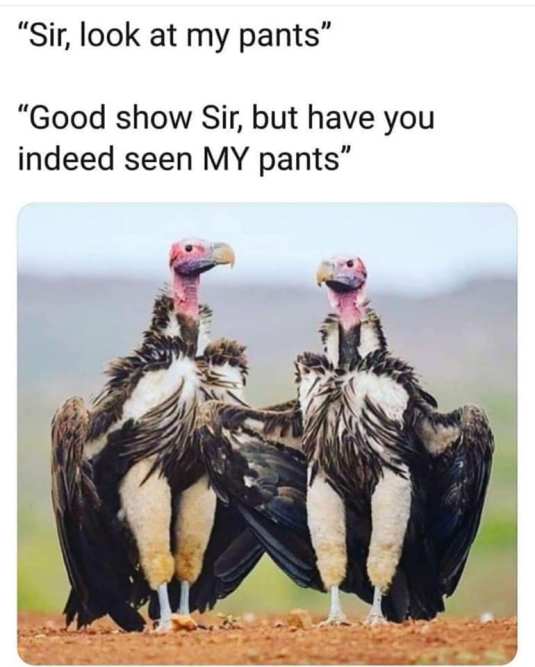 69687583_2492908377436473_7054671344901816320_n