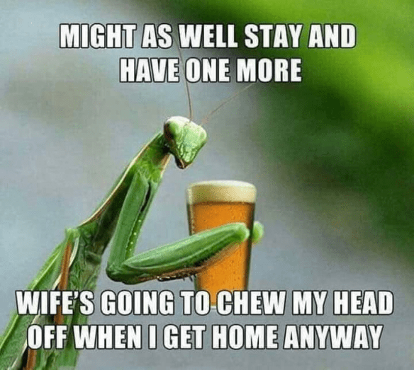 70126846_2427201430698442_2495314636778242048_n