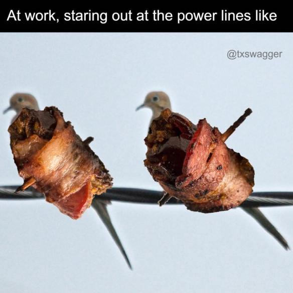 70231887_1159906717533446_8376858541436174336_n