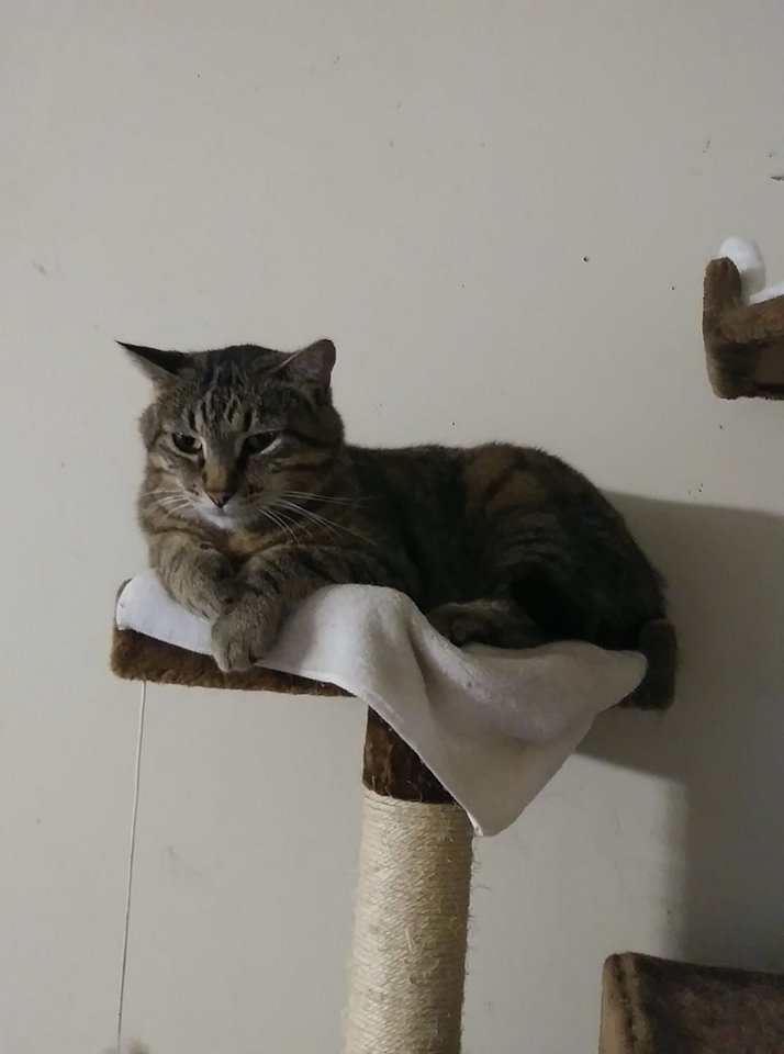 70798958_722265251577855_4796311952219439104_n