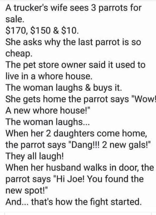 70279644_2381479858632450_6702232848352411648_n