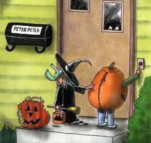 70557410_2707055759318213_4443698689155792896_n