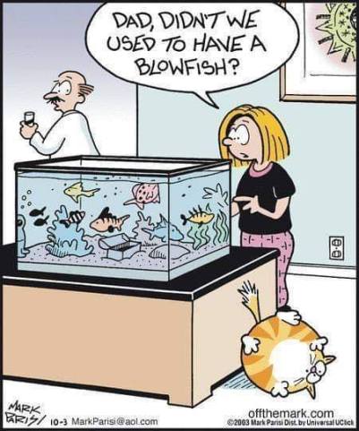 70698834_2350970215231370_3131535319225073664_n