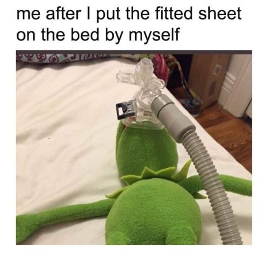 72545084_4670176642999886_9219327418907492352_o