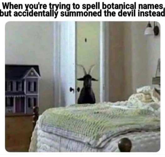 74205632_1413961612093766_7855647144621899776_n - Copy