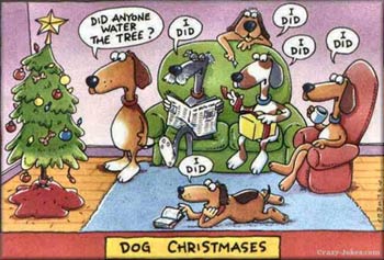 funny-dog-xmas-pics02