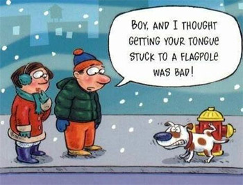 funny-dog-xmas-pics08