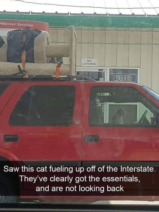 61036157_2016909301751073_1871690595194372096_n