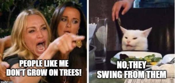 81354033_3481295171942648_8510151240854798336_o