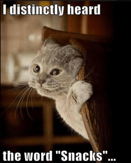 82112674_2276335279333816_6429568962689761280_n