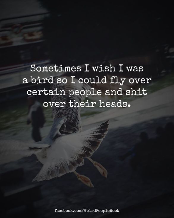 83483066_862030950924087_6065124520719548416_o