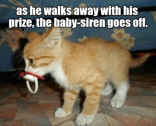 84034867_2464843470403783_4659979201934262272_n