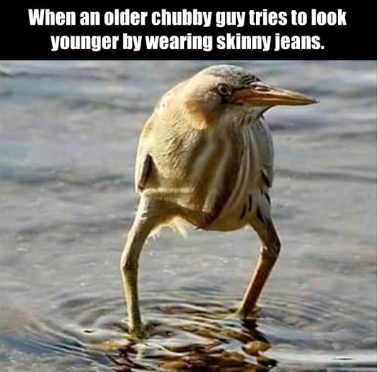 8c7dd584b45e0cafe9bc994aee611e2c