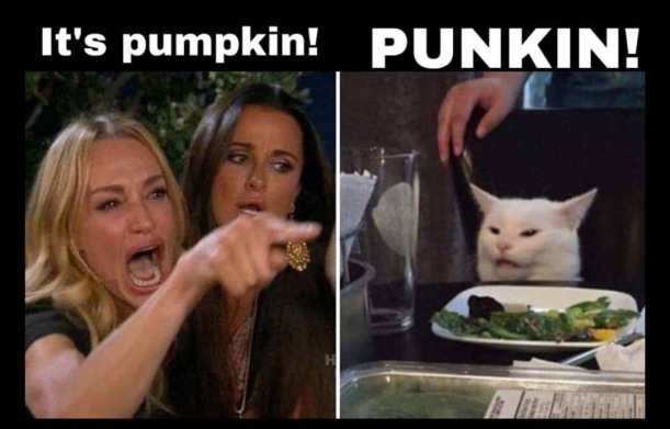 best-of-woman-yelling-at-cat-memes