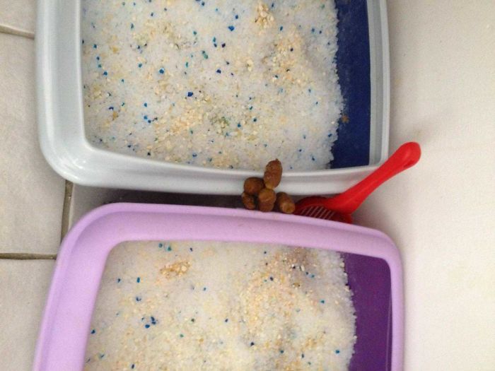 5abdd64039d0f_7WFSafrr__700