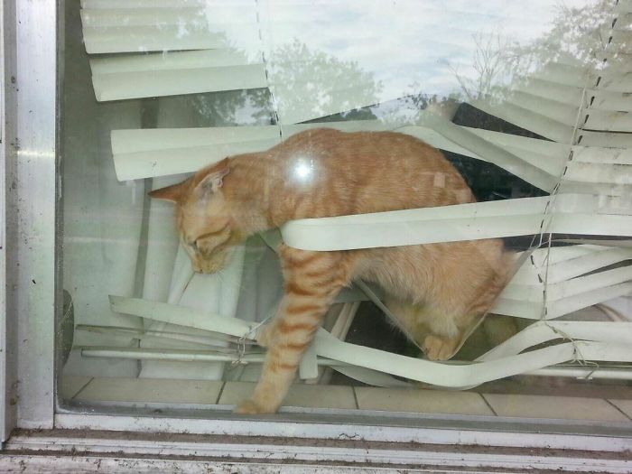 5abddd3c460b7_l6r0m4uftcfz__700