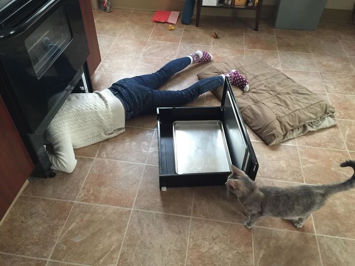 5abdea0be08ba_pgts6f4ta77z__700