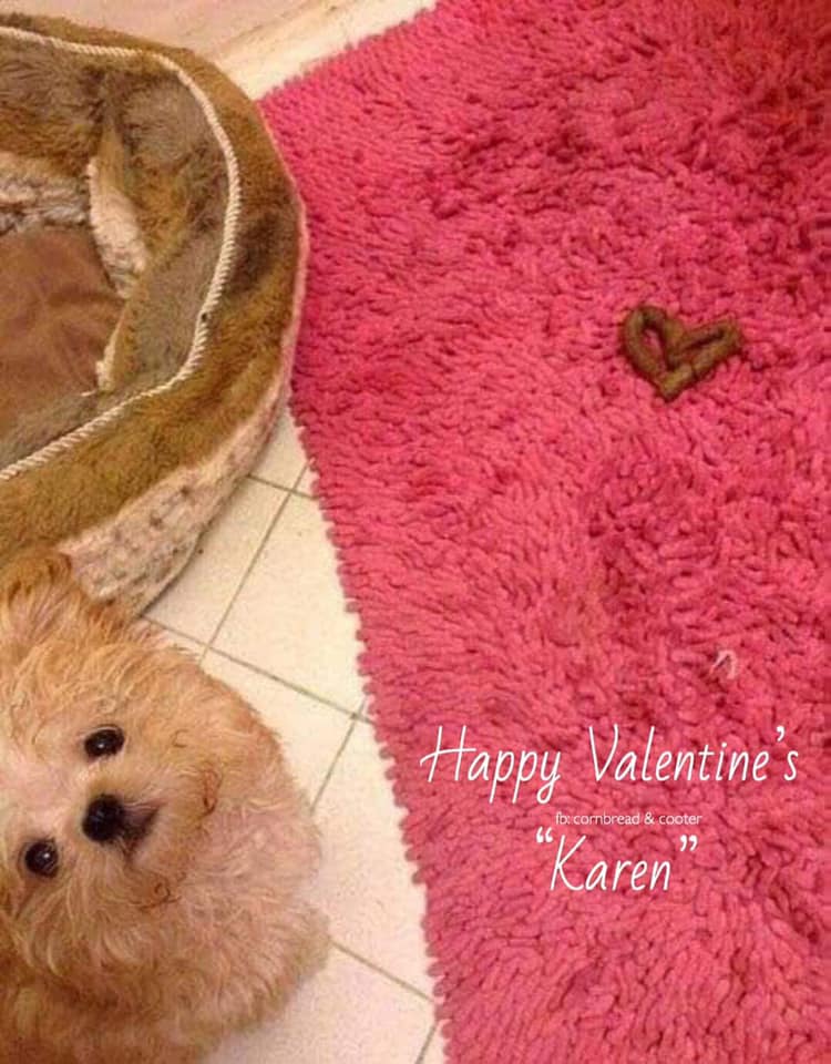 84400887_589442971609600_2212270025614557184_n