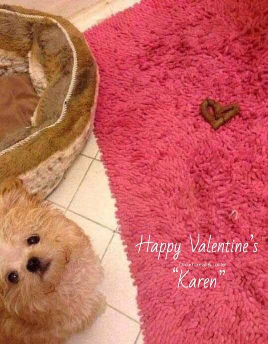 84400887_589442971609600_2212270025614557184_n