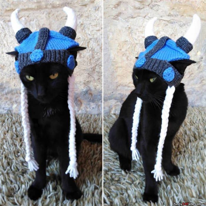 84893744_2727864167248891_6246917511263027200_n