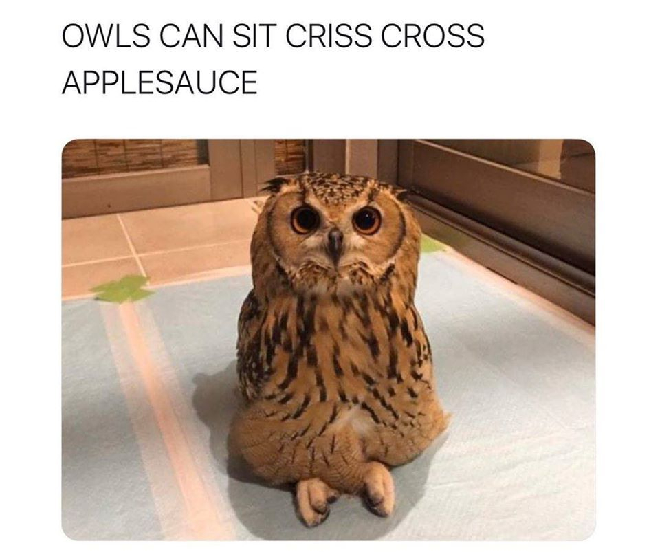 86996661_2563347330588655_3169269269800157184_o