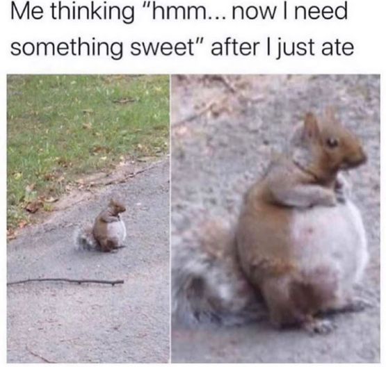 87294792_835880670154377_7752721199720824832_o