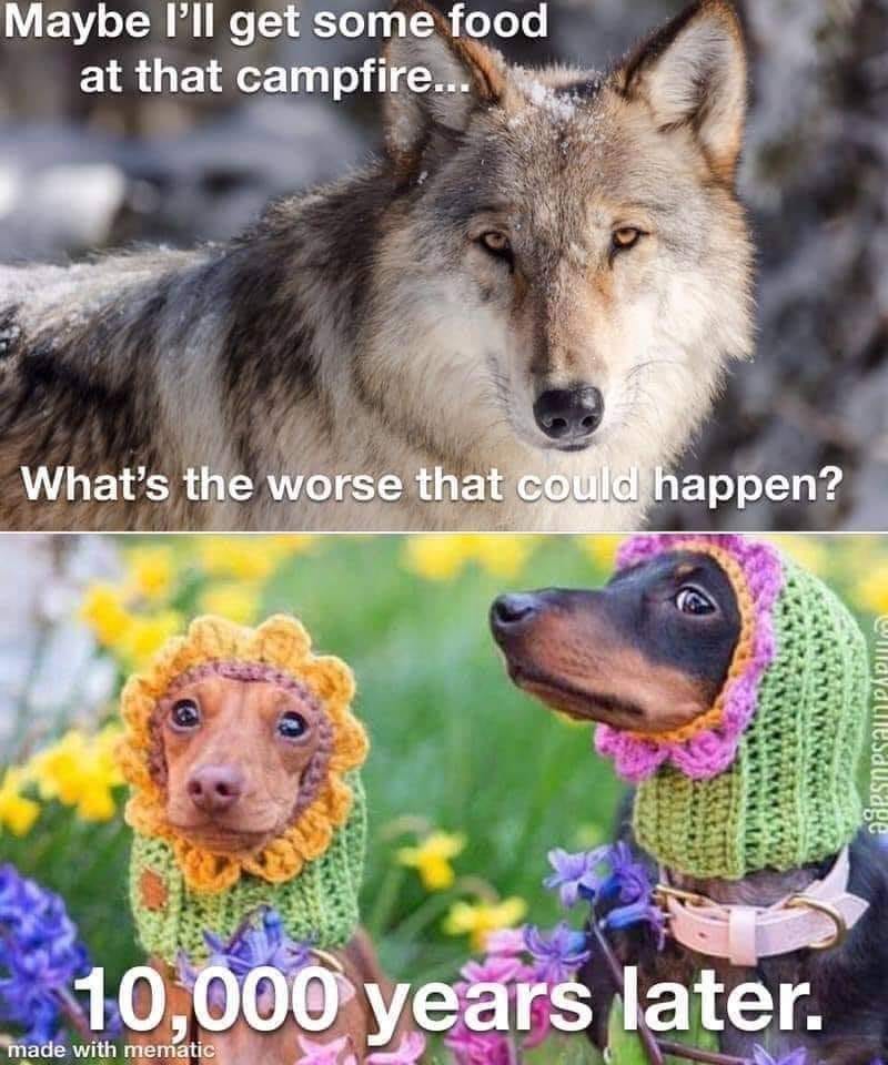 87491157_3033387030054798_5885284335841443840_n