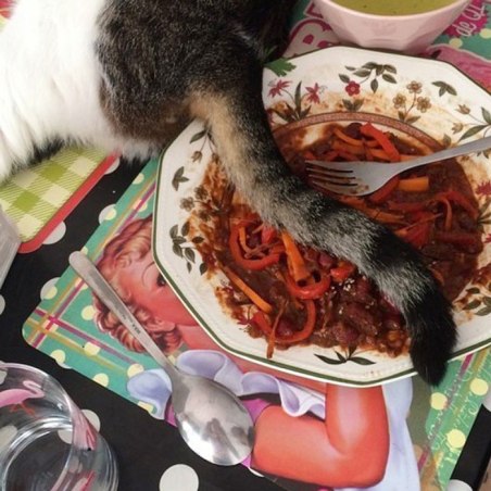 funny-cats-being-jerks-6-5ac4e4840e092__700