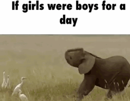 If girls were boys for a day.. - Imgur