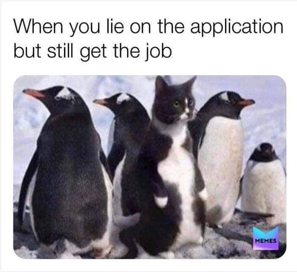 87657416_10216117104776003_7502665270285041664_n