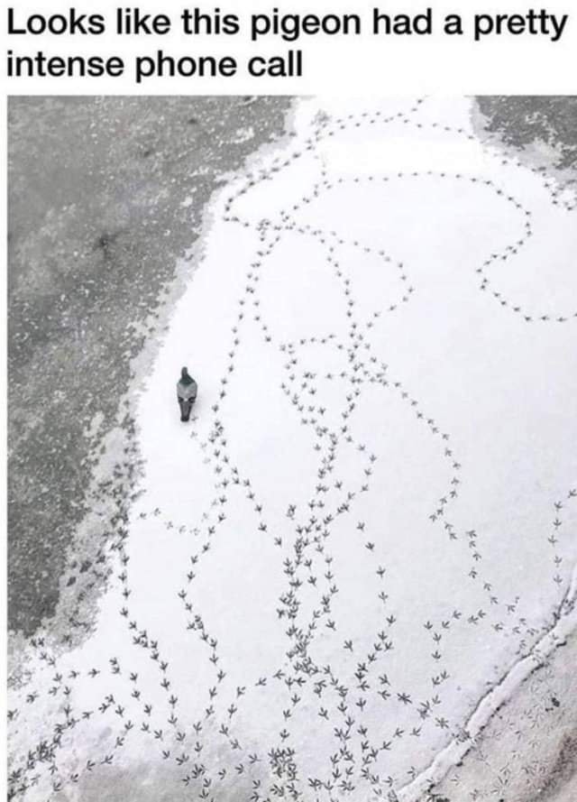 89338819_2474580102794942_1537722811659845632_n