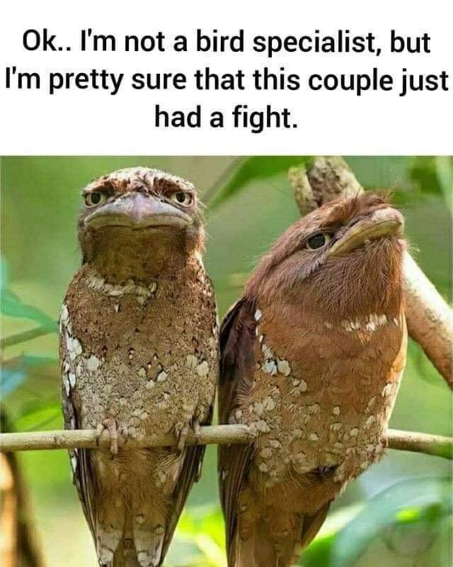 89527245_1082564068796931_997474680975654912_n