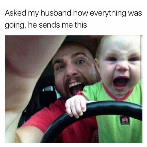 yellow-octopus-funny-memes-6