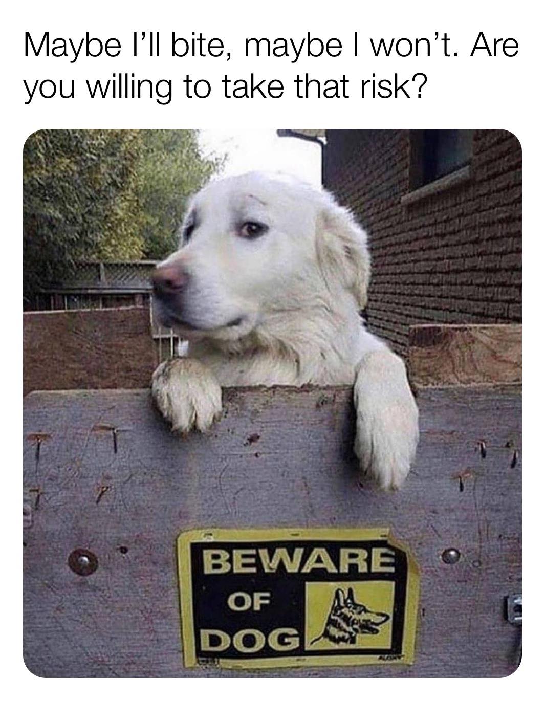 108832900_5781507048533501_7720951195870127542_o