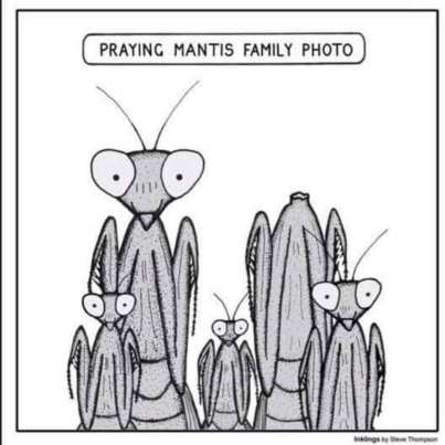 109263522_2671491396443179_2183622260167300515_n